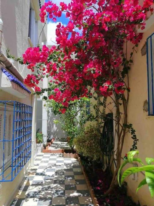Maison A El Omrane . Tunis Ngoại thất bức ảnh