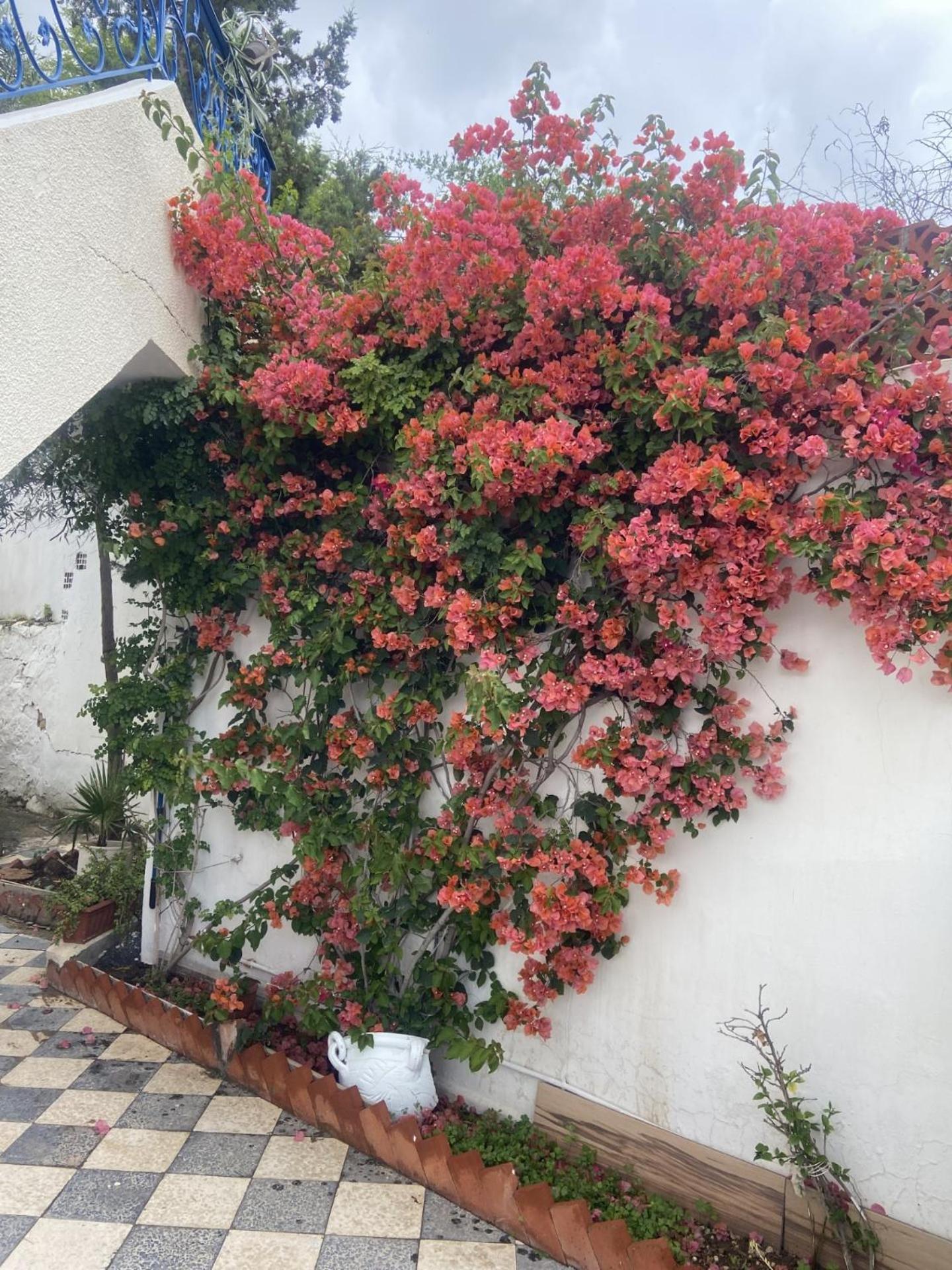Maison A El Omrane . Tunis Ngoại thất bức ảnh